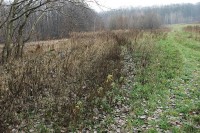 /album/fotogaleria-inocybe-sp-5/biotop-jpg10/